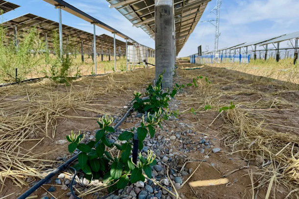 29639d17896b0194aaa08243040f3767-sz_8299420_副本