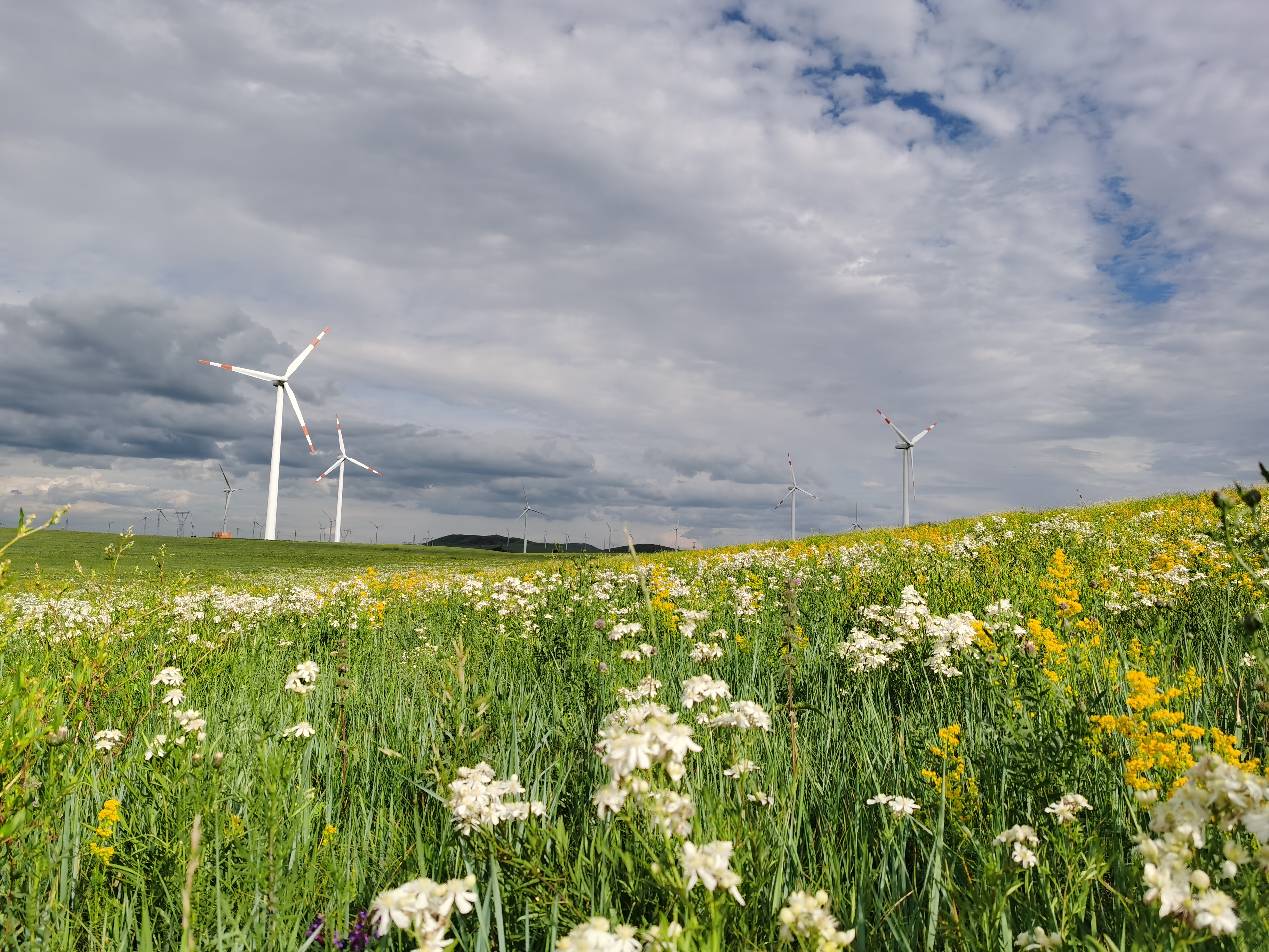 1752405631505057010.jpg 502cc7b349494710f276017fcdb0afb.jpg