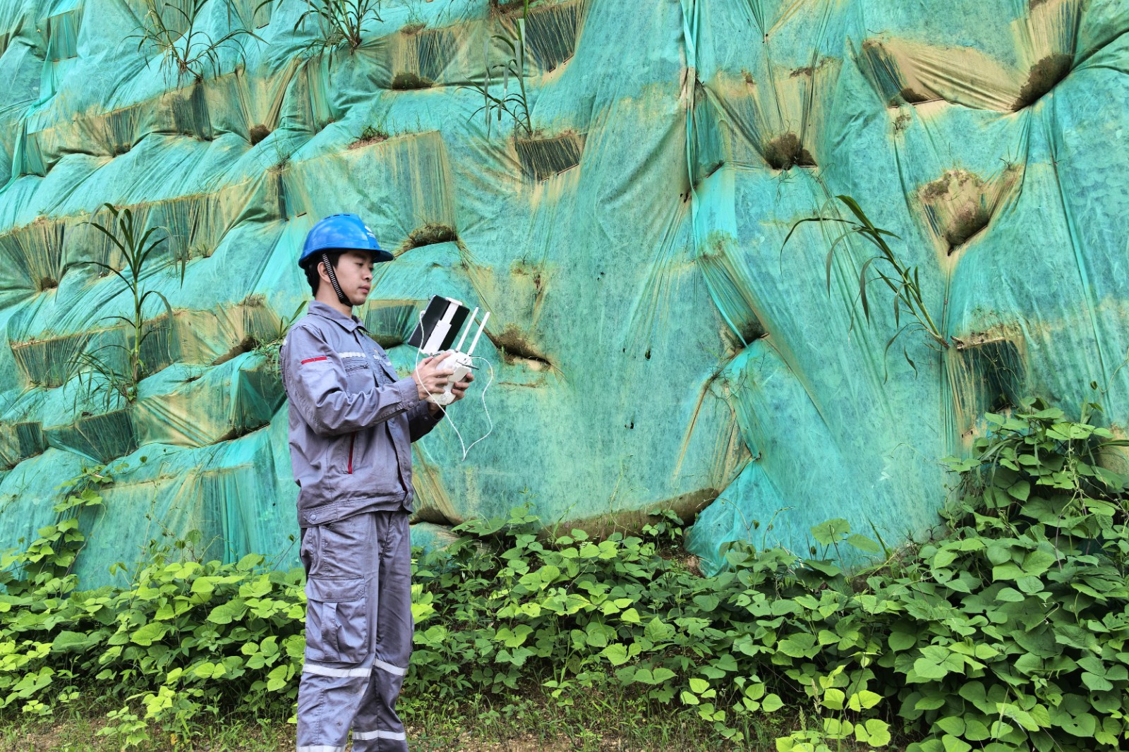 cff7a098b336323234086268f9a0cdf