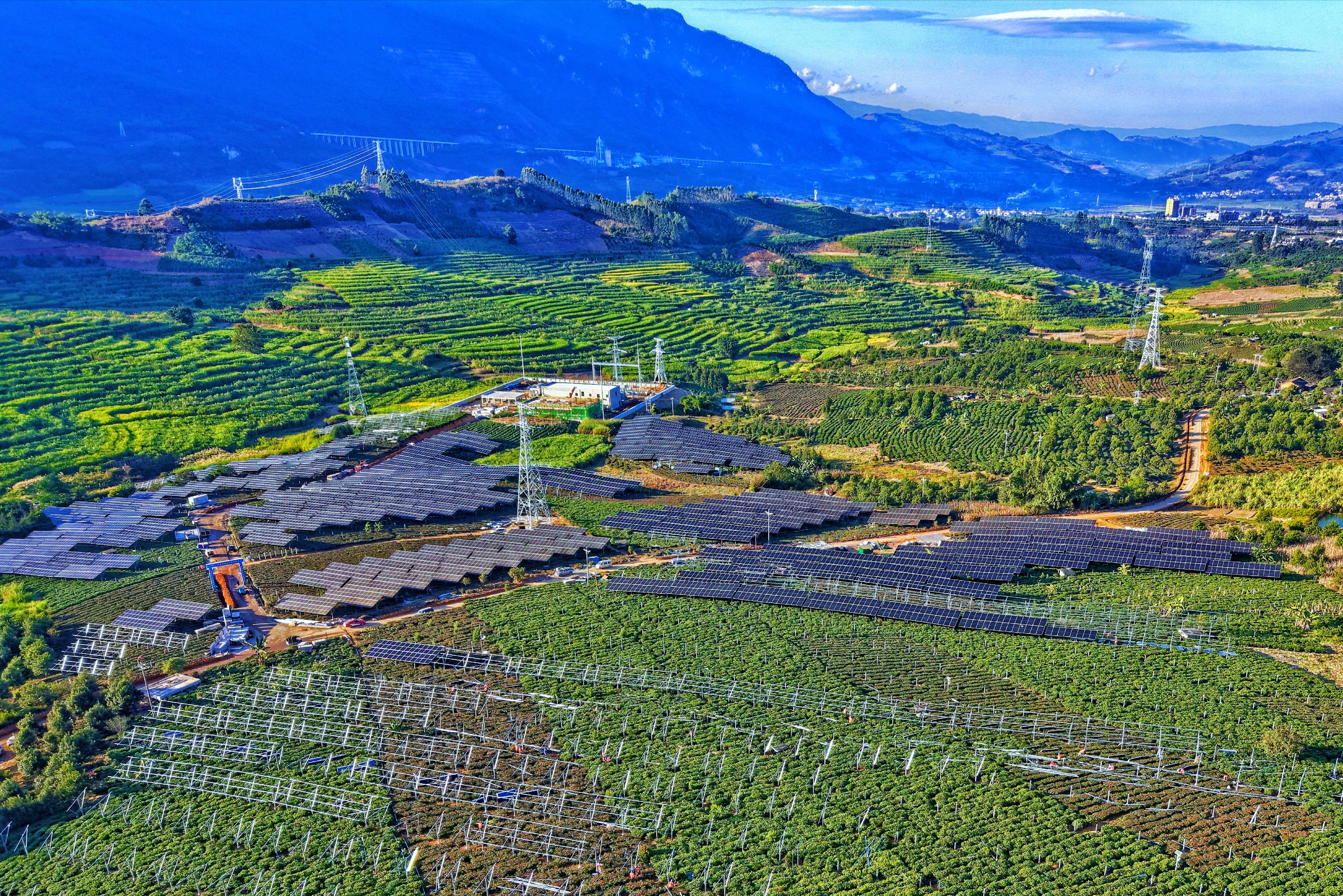 1765260832958077394.jpg d49fc329e46b91be87b68c0362ba0c53.jpg