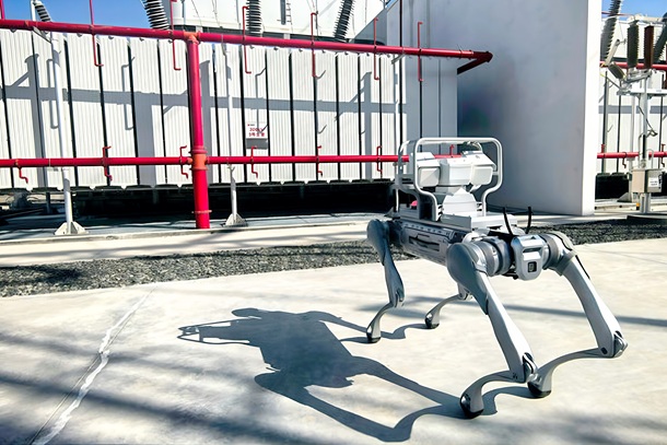 图为“机器狗”正在监测主变温度610407