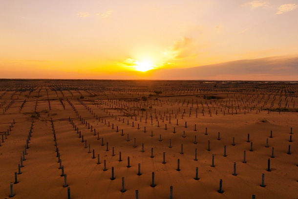 5ea9ca8b3f9d4654b0afe7a3961b2024