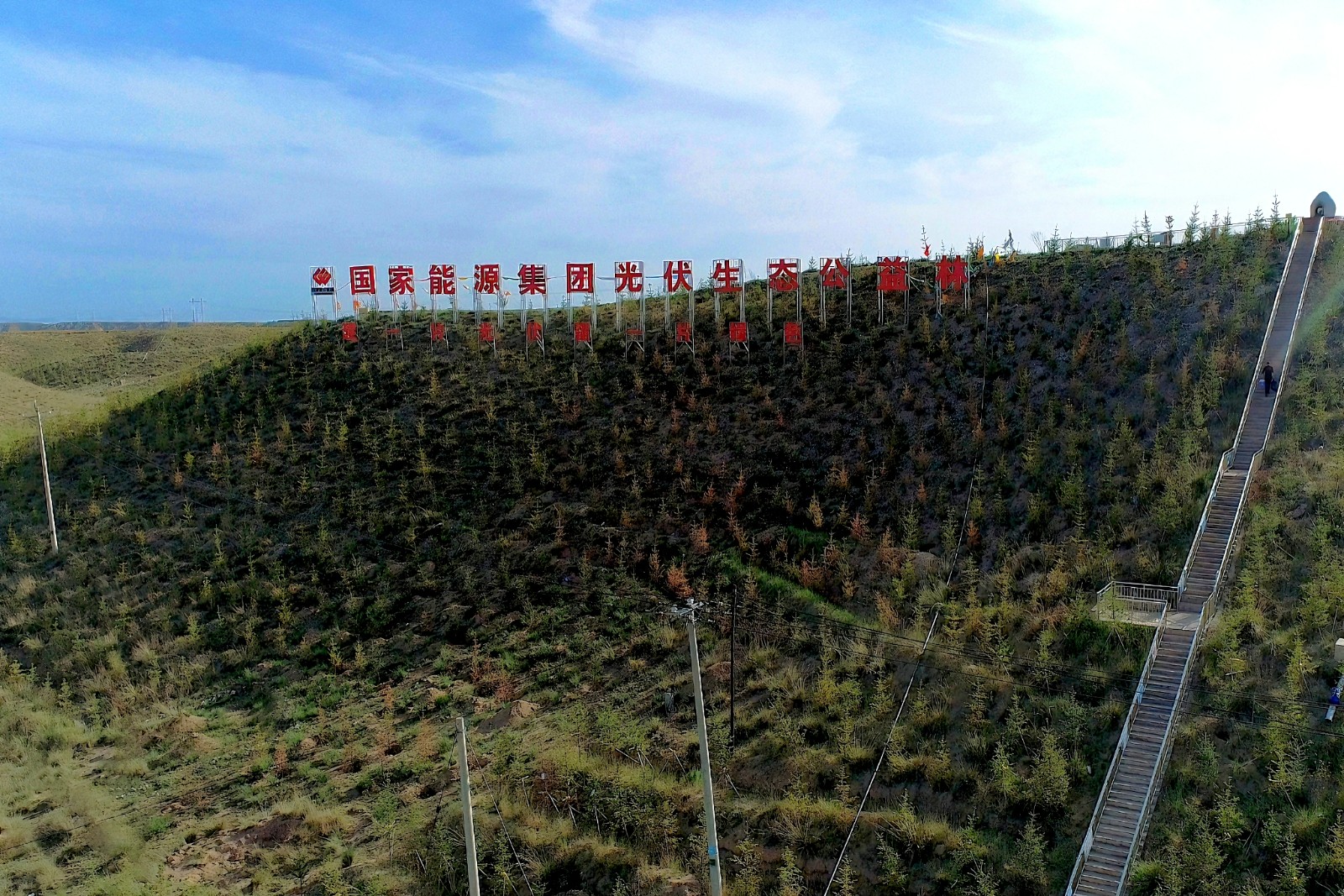 图为公益林航拍图